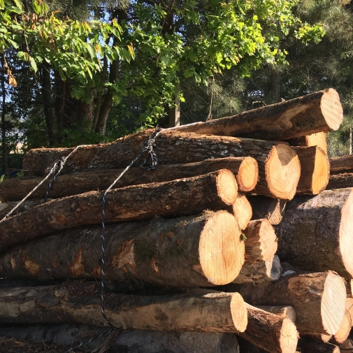 Vente de bois